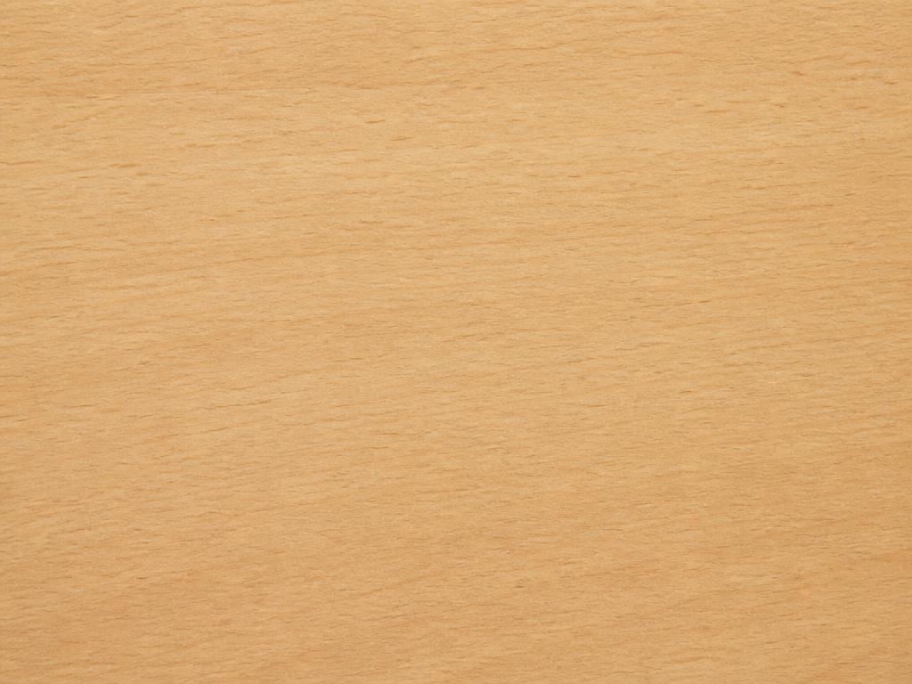 Venatura del legno di faggio (Fagus sylvatica)